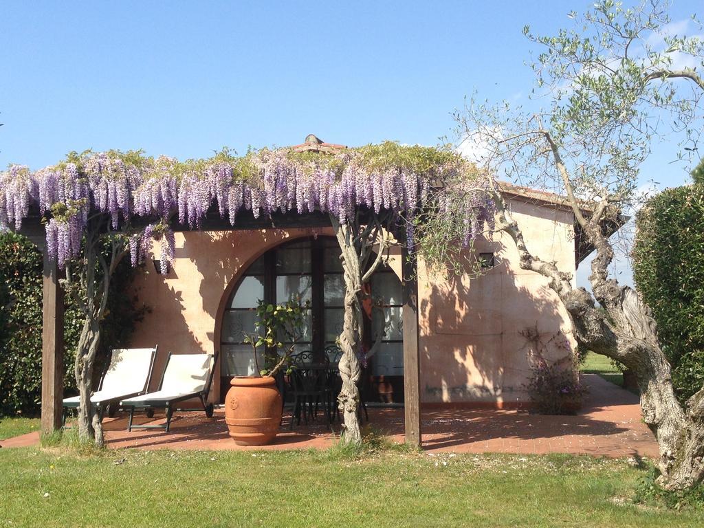 Fattoria Cirene Follonica Quarto foto